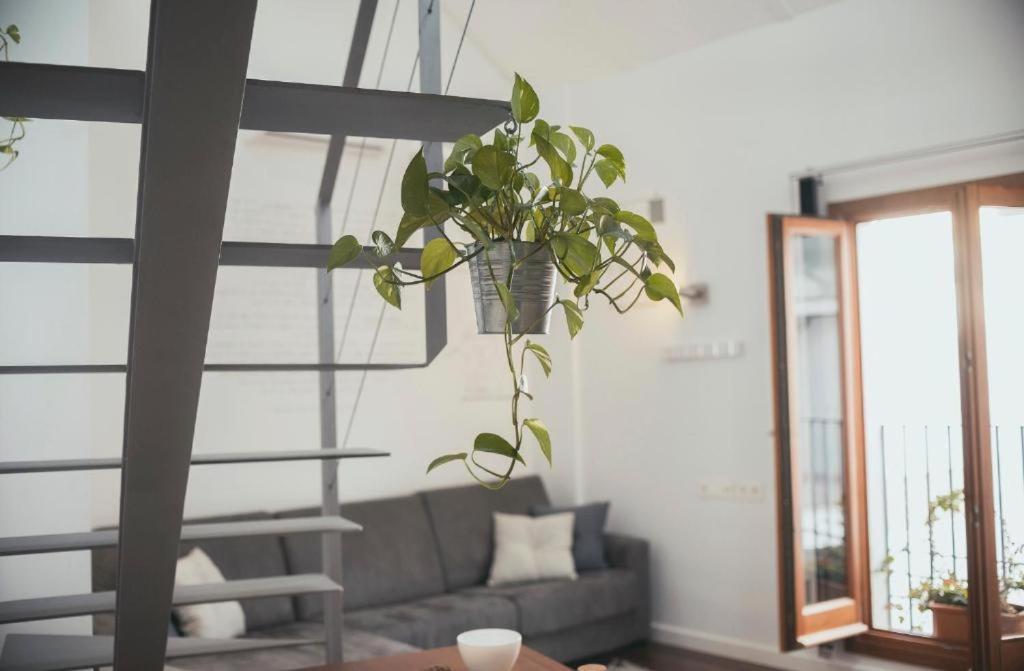 Trigo Homes Kordoba Zewnętrze zdjęcie